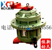 立式振動(dòng)電機(jī) 立式振動(dòng)電機(jī)